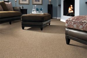 Carpets from Legends Flooring & Interior Walsenburg, Southern Colorado
